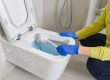 How To Clean A Toilet