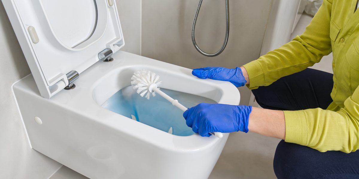 How To Clean A Toilet How To Clean A Toilet