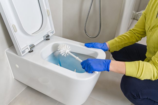 How To Clean A Toilet How To Clean A Toilet